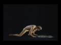 clip video Etienne Daho Le Grand Sommeil (Live 2001)