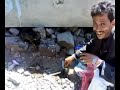كلاب اليمن الجاوعات