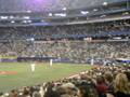 Bluejays v Rays Wave