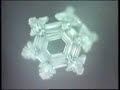 DVORAK A NEW WORLD WATER CRYSTALS EMOTO EMOTIONSThe Music From Masaru Emoto's Messages from water for use for relaxation and freedom when desired.  It takes less than 5 min to watch the water crystals and listen to the Beautiful music.  Watch them in the morning to set your day off in a positive tone and again when you get home to eliminate the negative suggestions your mind and body picked up during the day.watch his video on Google Video orvisit www.hado.net/