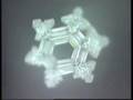 DVORAK A NEW WORLD WATER CRYSTALS EMOTO EMOTIONS