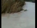 videos de INNONDATION A BERRE L'ETANG 15 DECEMBRE 2008