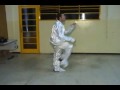 DJ SQUASH FRANCA DANÇA