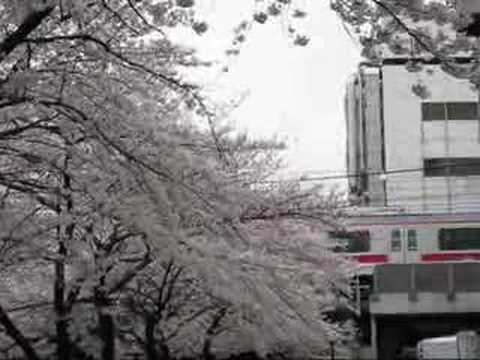 東横線と目黒川