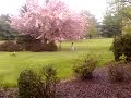 noah noelle rain run shai fishman