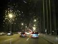 Twinkly Lites...