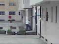 Os nossos vizinhos a assar peixe Os nossos vizinhos a assar peixe