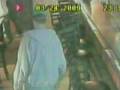 Bobcat attacks people in a bar