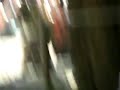 小笠原流草鹿式　松岡さん妙技