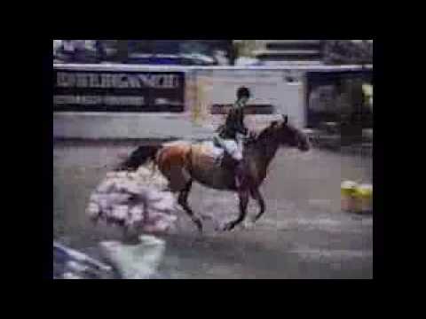 Jennifer Field Riding Competition before her TBI