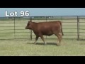 Lot 96 U852