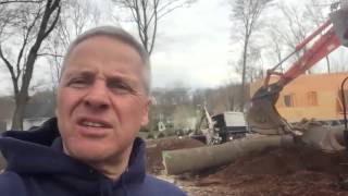 Steve Griggs Design | Coordinating Big Landscape Projects (Part 3)
