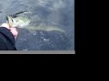 lake-bonclarken-sam-catches-largemouth-bass.html