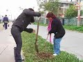 Municipalidad Recoleta planta árboles junto a la comunidad