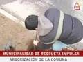 Municipalidad Recoleta planta árboles junto a la comunidad