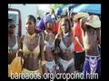 Barbados Crop Over