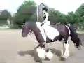 Reiten ohne Sattel:) Reiten ohne Sattel:)