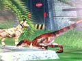 JPOG : raptor TLW skin testing JPOG : raptor TLW skin testing