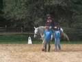 videos de Ablevision at Windrush Farm