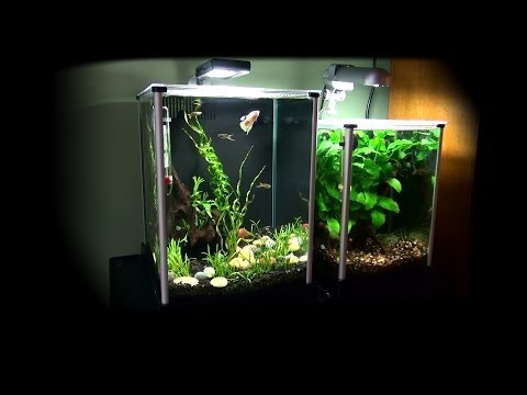 how to set up fluval spec v