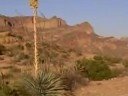 MKP-100 Challenge... Thorns,Cactus,Going Deep!