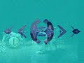 Tric�ratops
