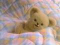Snuggle Commercial