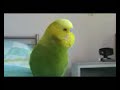 ЮМОР!