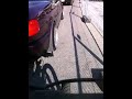 video1.mov Video