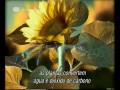 videos de Sol Selvagem