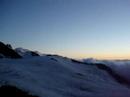 CHARDONNET AU COUCHER DU SOLEIL