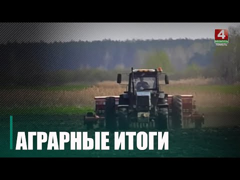 В 2023 году Гомельщина собрала более 1 000 000 тонн зерна видео