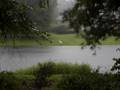 videos de @The Landings - Hannah vs the Egret