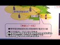 KDDI Wireless Repeater with Interference Reduction : DigInfo
