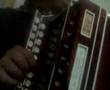 CETRARO:tarantella cetrarese 3