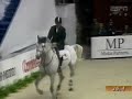 Salamandra Chapman Rouge - Word Cup Final 2004 in Milan
