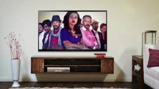 How To Install Ebs Tv On Roku