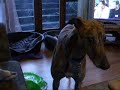 Retraining Poppy\ Retraining Poppy\