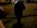 videos de DJ Q capture's street performer's hustle......???