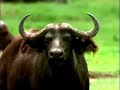 funny-videos-creative-ads-collection-part-44.html