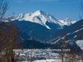 Aspen Colorado Home Sale Real Estate - TBD Larson Dr