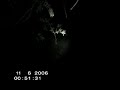 El Supuesto Hallazgo de un Angel Caido en España - Videos Paranormales