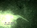 El Supuesto Hallazgo de un Angel Caido en España - Videos Paranormales