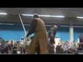 FACTS 2006: Elanor Swordfighting