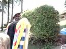 lake-george-2007.html