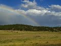 Montana rainbow