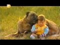 Belgesel - Kangal Boz Kırın Gözleri Bölüm 4