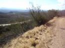Contemplando a estrada