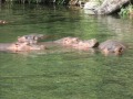 Mombasa and Tsavo Vacation and Safari Mombasa and Tsavo Vacation and Safari