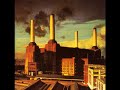 Artist: Pink Floyd Album: Animals